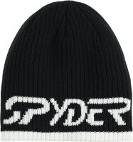 Шапка мужская Spyder Logo Hat 24/25